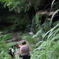 descent to holy spring