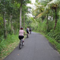 stunning village road