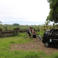 closer look at rice paddies