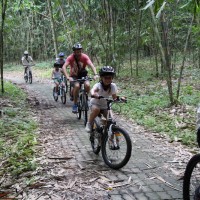 family bike tour in bamboo forest
