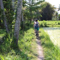 ride through rice paddies