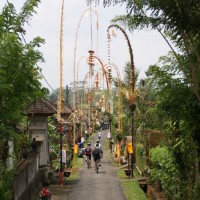 penjor along the beautiful village
