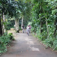 bali hidden back roads