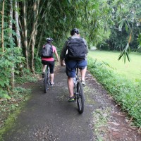 village along the forest