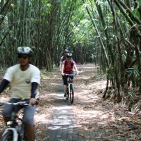 biking inside bamboo forest #1