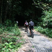 cycling trips at bamboo forest