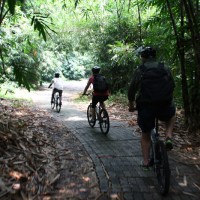 bike tour at bamboo forest