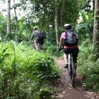 another off-roads bike track #2