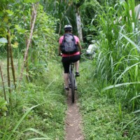 another off-roads bike track #3