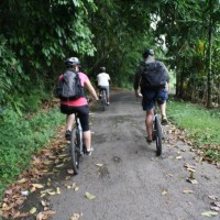 downhill bicycle track #1