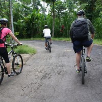 downhill bicycle track #2