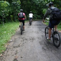 downhill bicycle track #3