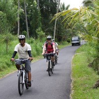 quiet suburban area #1