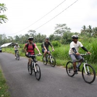 quiet suburban area #3