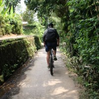 another bali rural path