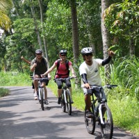 nice countryside view