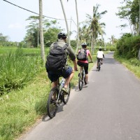 bali bike tour rice paddies
