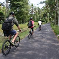 rice paddies bike trips #2