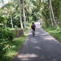 welcome to bukit batu village