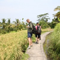 short trekking through rice paddies