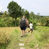 short trekking through rice fields