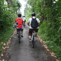 green countryside #1