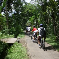 green countryside #2