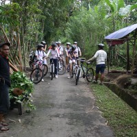 green countryside #3