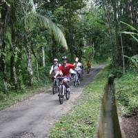 green countryside #5