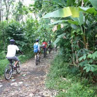 bali village's back roads #1