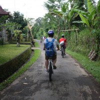bali village's back roads #2