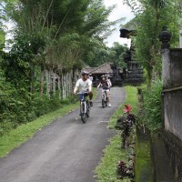 bali village's back roads #3