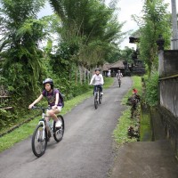 bali village's back roads #4