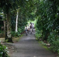 secret back roads #1