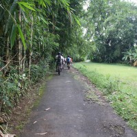 off road bike tracks #1