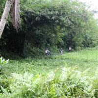 off road bike tracks #2