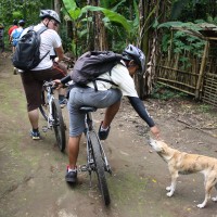 off road bike tracks #3