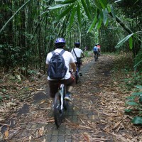 bamboo forest cycling routes #1