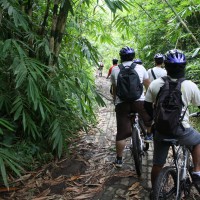 bamboo forest cycling routes #2