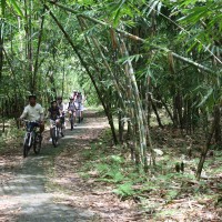 bamboo forest cycling routes #3