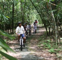 bamboo forest cycling routes #4