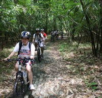 bamboo forest cycling routes #5