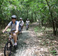 bamboo forest cycling routes #6