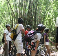 photo session at bamboo forest #2
