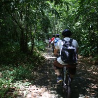bike trips amid bamboo forest #4