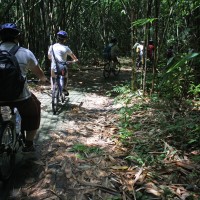 bike trips amid bamboo forest #5