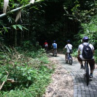 end of bamboo track #1