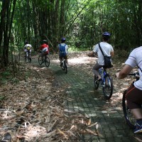 end of bamboo track #2