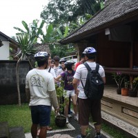 house compounds of penglipuran #2