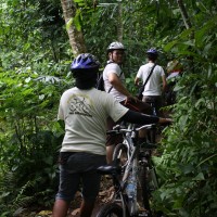 through plantations #3